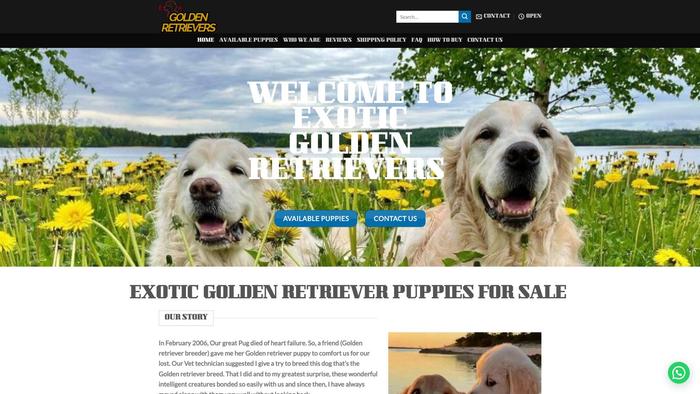 Exoticgoldenretrievers-au.com - Golden Retriever Puppy Scam Review