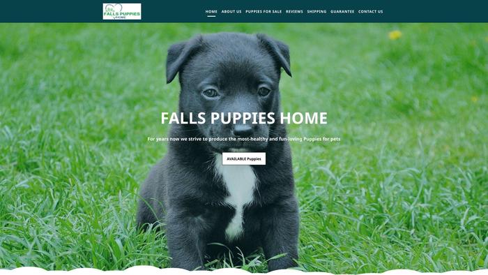 Fallspuppieshome.com - French Bulldog Puppy Scam Review