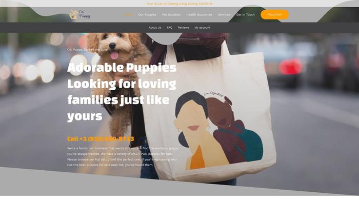 Familyfriendlypuppies.com - Cavapoo Puppy Scam Review