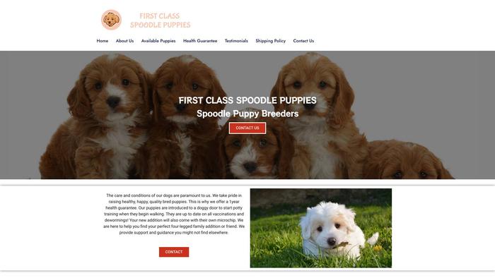 Firstclasspoodlepuppies.com - Poodle Puppy Scam Review