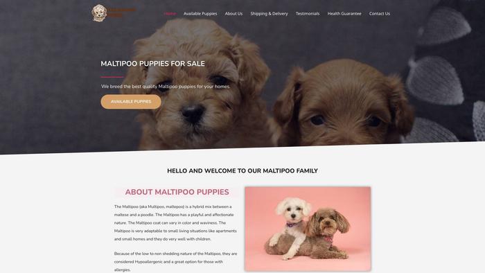 Flexmaltipoopuppies.com - Maltipoo Puppy Scam Review