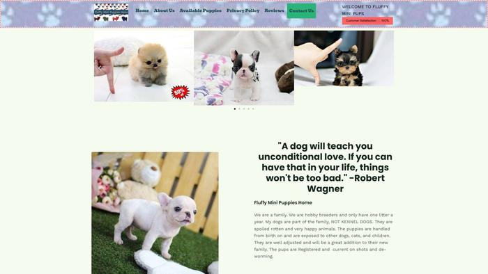 Fluffyminipuppies.com - Pomeranian Puppy Scam Review