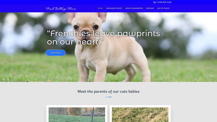 Frenchbulldogsheven.com - French Bulldog Puppy Scam Review