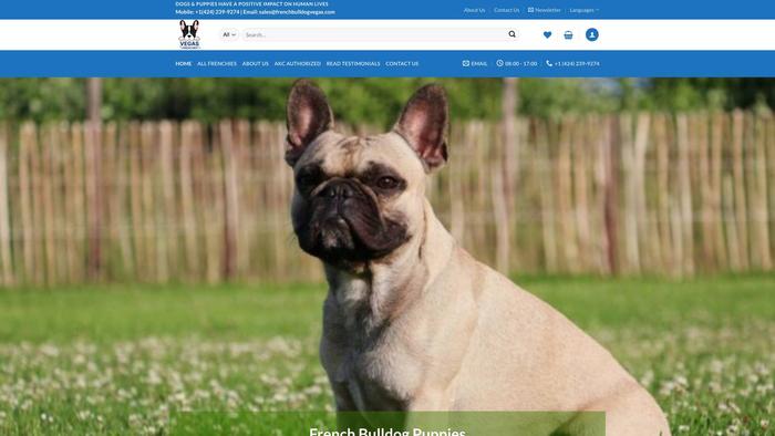 Frenchbulldogvegas.com - French Bulldog Puppy Scam Review