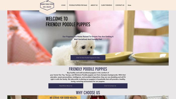 Friendlypoodlepuppies.com - Poodle Puppy Scam Review