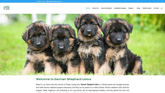 Germanshepherdcolors.com - Germanshepherd Puppy Scam Review