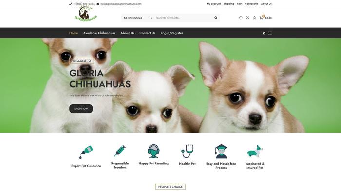 Gloriateacupchihuahuas.com - Chihuahua Puppy Scam Review