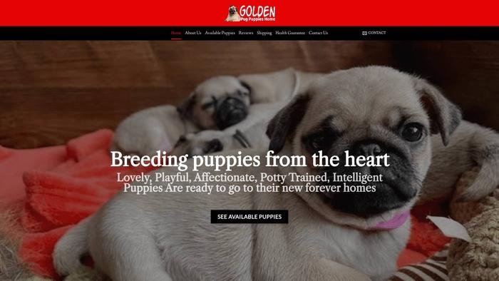 Goldenpugpuppieshome.com - Pug Puppy Scam Review