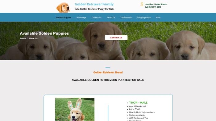 Goldenretrieverfamily.com - Golden Retriever Puppy Scam Review