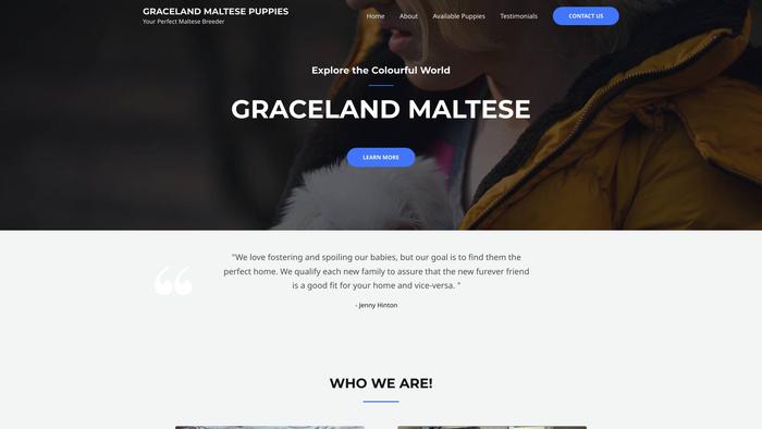 Gracelandmaltese.com - Maltese Puppy Scam Review