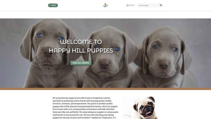 Happyhillpuppies.com - Boston Terrier Puppy Scam Review