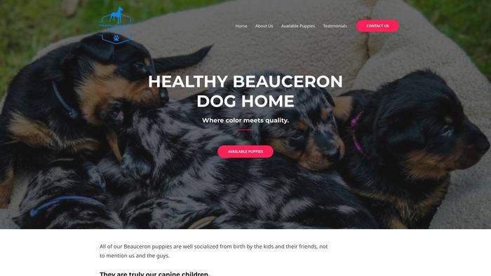 Healthybeauceronpuppy.com - Labrador Puppy Scam Review