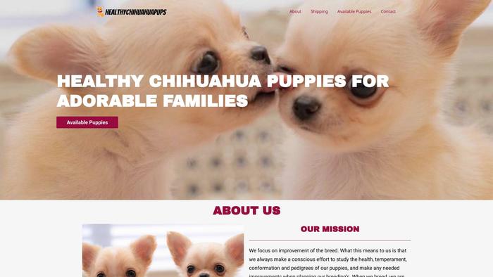 Healthychihuahuapups.com - Chihuahua Puppy Scam Review