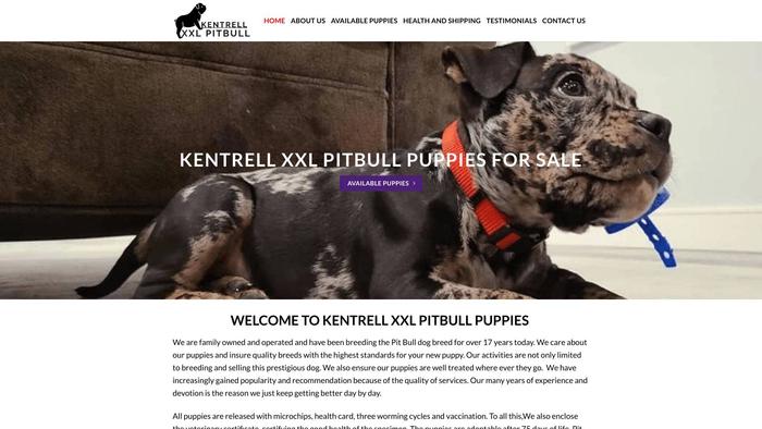 Healthypitbulls.xyz - Pit Bull Puppy Scam Review