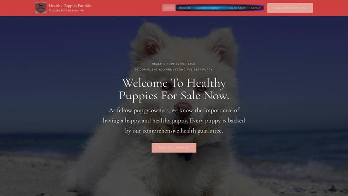 Healthypuppiesforsalenow.com - Golden Doodle Puppy Scam Review