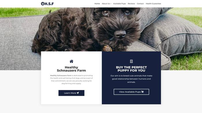 Healthyschnauzersfarm.com - Schnauzer Puppy Scam Review