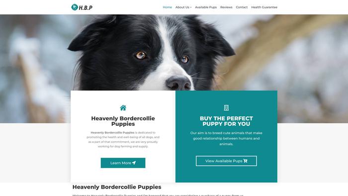 Heavenlybordercolliepuppies.com - Bordercollie Puppy Scam Review