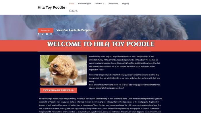 Hilatoypoodlepups.com - Poodle Puppy Scam Review