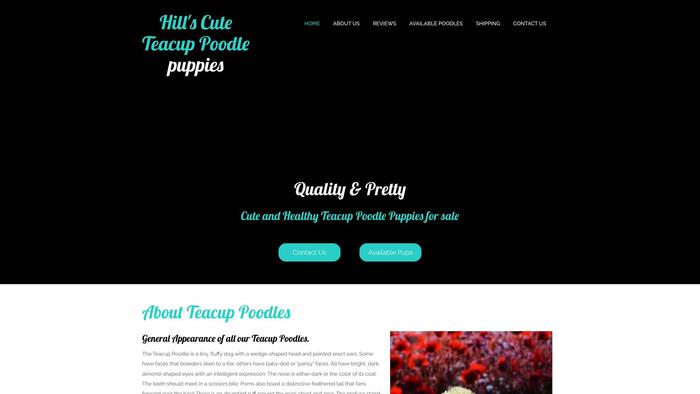 Hillscuteteacuppoodlepuppies.com - Poodle Puppy Scam Review