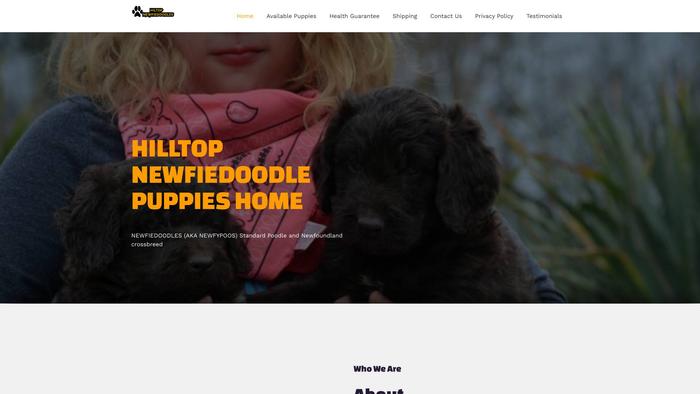 Hiltopnewfiedoodles.com - Labradoodle Puppy Scam Review