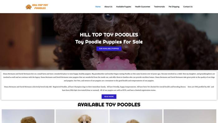 Hiltoptoypoodles.com - Poodle Puppy Scam Review