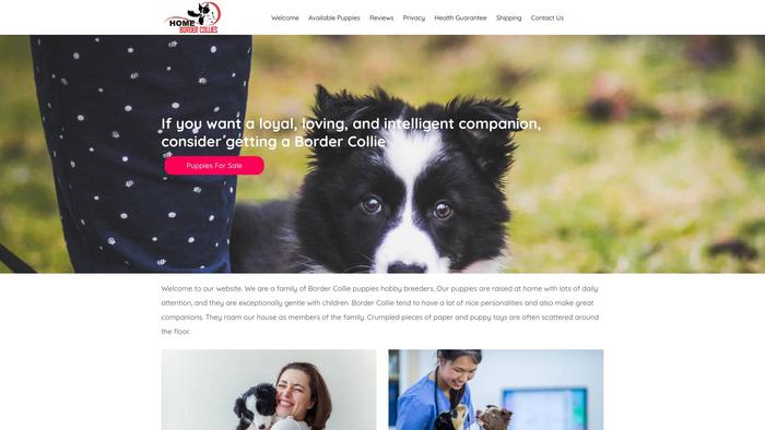 Homebordercollies.com - Bordercollie Puppy Scam Review