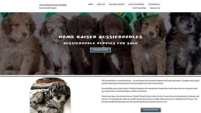 Homeraisedaussiedoodles.com - Australian Shepherd Puppy Scam Review