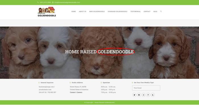 Homeraisedgoldendoodle.com - Golden Doodle Puppy Scam Review