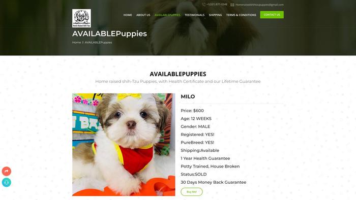 Homeraisedshihtzupuppies.online - Shihtzu Puppy Scam Review