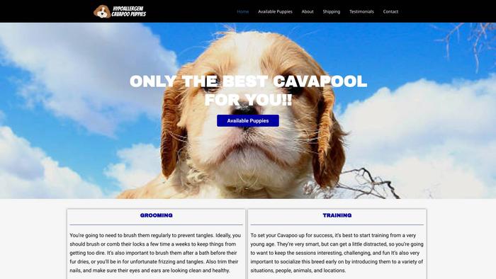 Hypoallergenicavapoopuppies.com - Cavapoo Puppy Scam Review