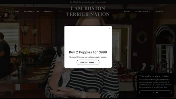 Iambostonterrier.com - Terrier Puppy Scam Review