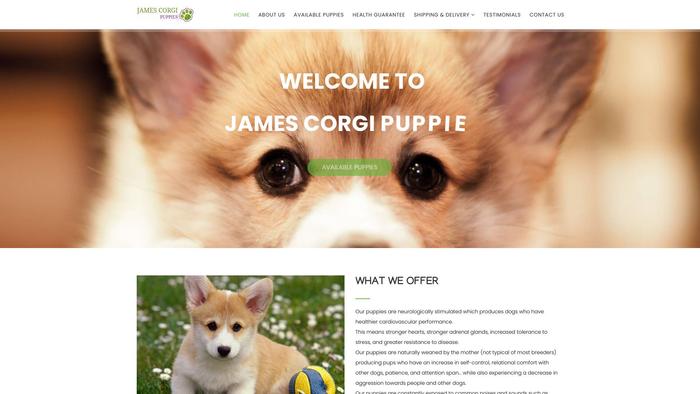 Jamescorgipups.com - Corgi Puppy Scam Review