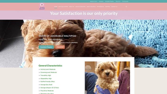 Jess-maltipoopuppyhome.com - Maltipoo Puppy Scam Review