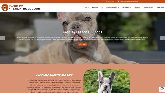 Kashleyfrenchbulldogs.com - French Bulldog Puppy Scam Review