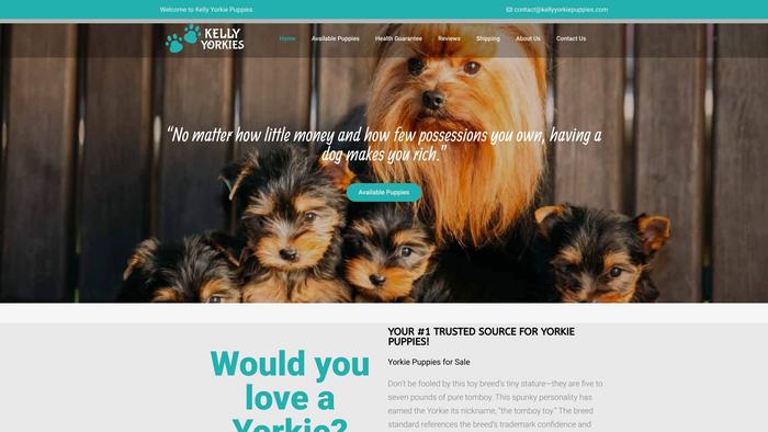 Kellyyorkiepuppies.com - Yorkshire Terrier Puppy Scam Review