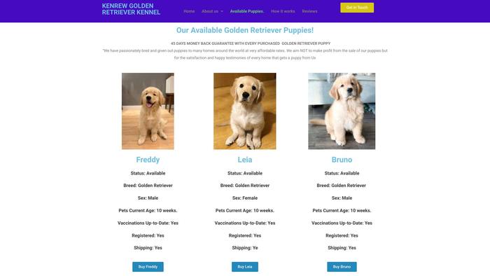 Kendrewgoldenretrieverpuppieskennel.com - Golden Retriever Puppy Scam Review