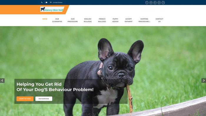 Kennystarbully.store - French Bulldog Puppy Scam Review