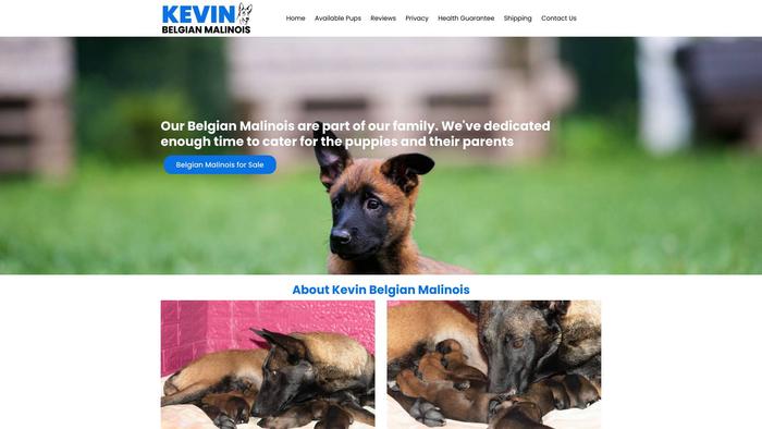 Kevinbelgianmalinois.com - Germanshepherd Puppy Scam Review