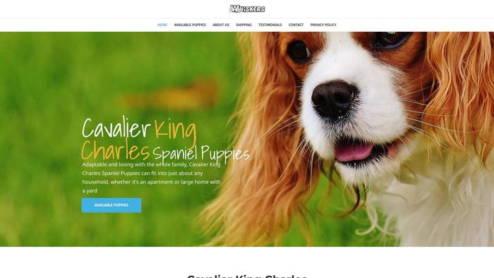 Kingcharlesspanielspecials.com - Cavalier King Charles Spaniel Puppy Scam Review