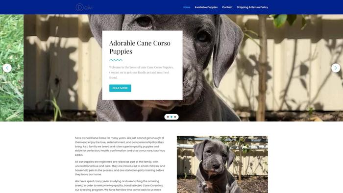 Kingcorsopuppies.com - Cane Corso Puppy Scam Review