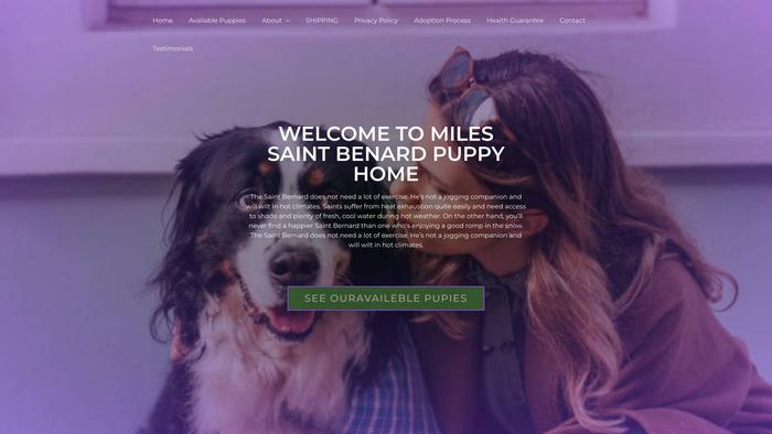 Kingsaintbernard.us - Saint Bernard Puppy Scam Review