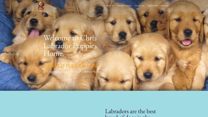 Labradorsheaven.com - Labrador Puppy Scam Review