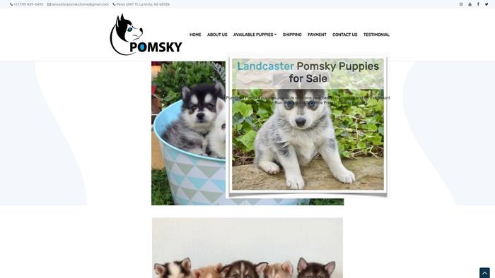 Lancasterpomskyhome.com - Pomeranian Puppy Scam Review