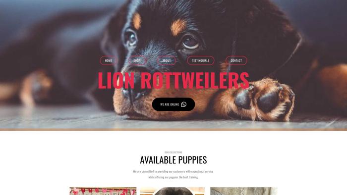 Lionrottweilers.com - Rottweiler Puppy Scam Review