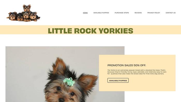 Littlerockyorkies.com - Yorkshire Terrier Puppy Scam Review