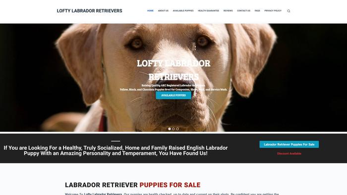 Loftylabradorretrievers.com - Golden Retriever Puppy Scam Review