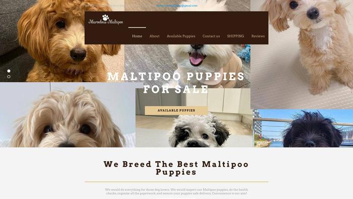 Loreensmaltipoos.com - Maltipoo Puppy Scam Review