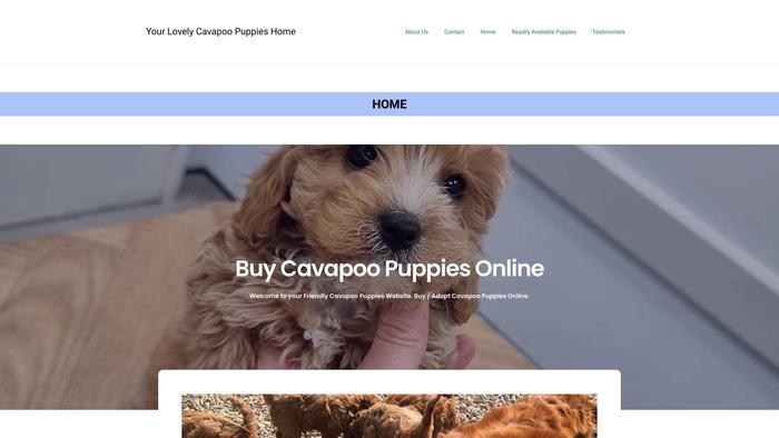 Lovelycavapoopup.site - Cavapoo Puppy Scam Review