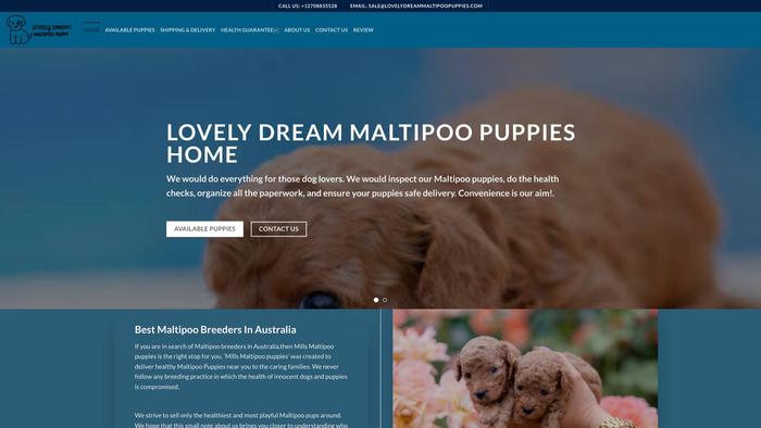 Lovelydreammaltipoopuppies.com - Maltipoo Puppy Scam Review