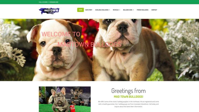 Madtownbulldogs.org - Bulldog Puppy Scam Review